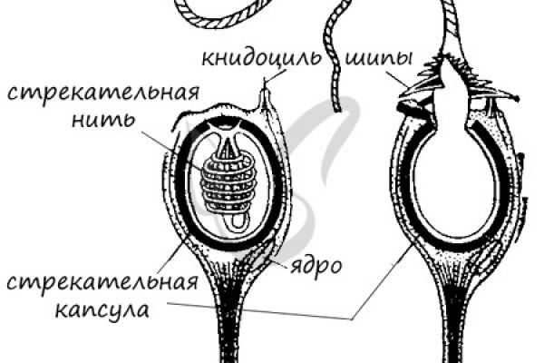 Как зайти на кракен через айфон